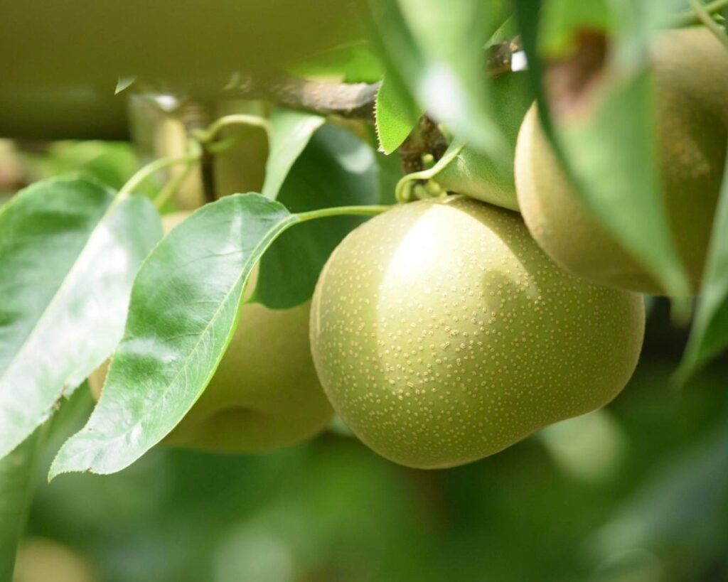 うちの赤ちゃんは寝すぎなのでしょうか?